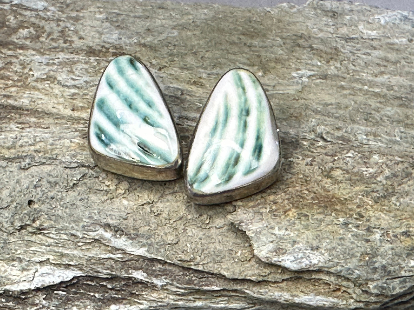 Turbo shell earrings