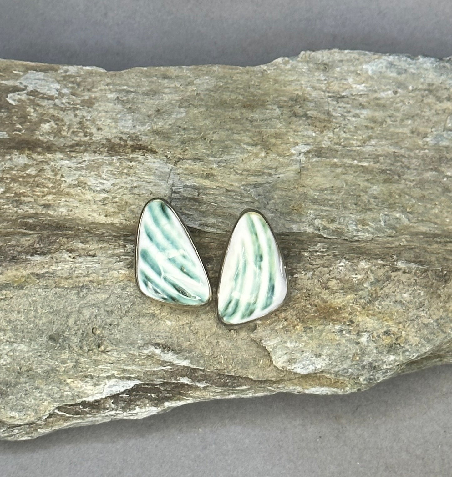 Turbo shell earrings