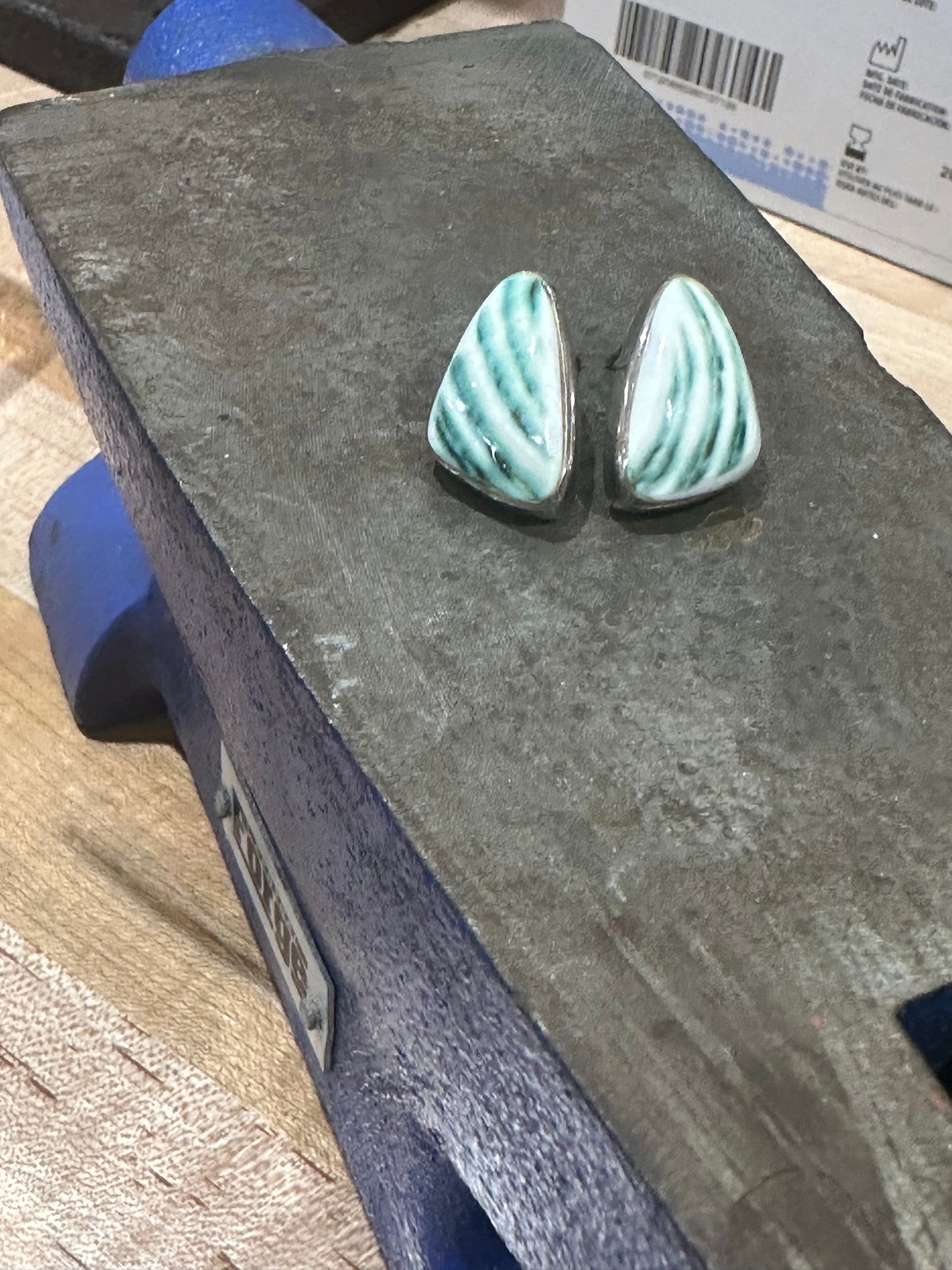 Turbo shell earrings