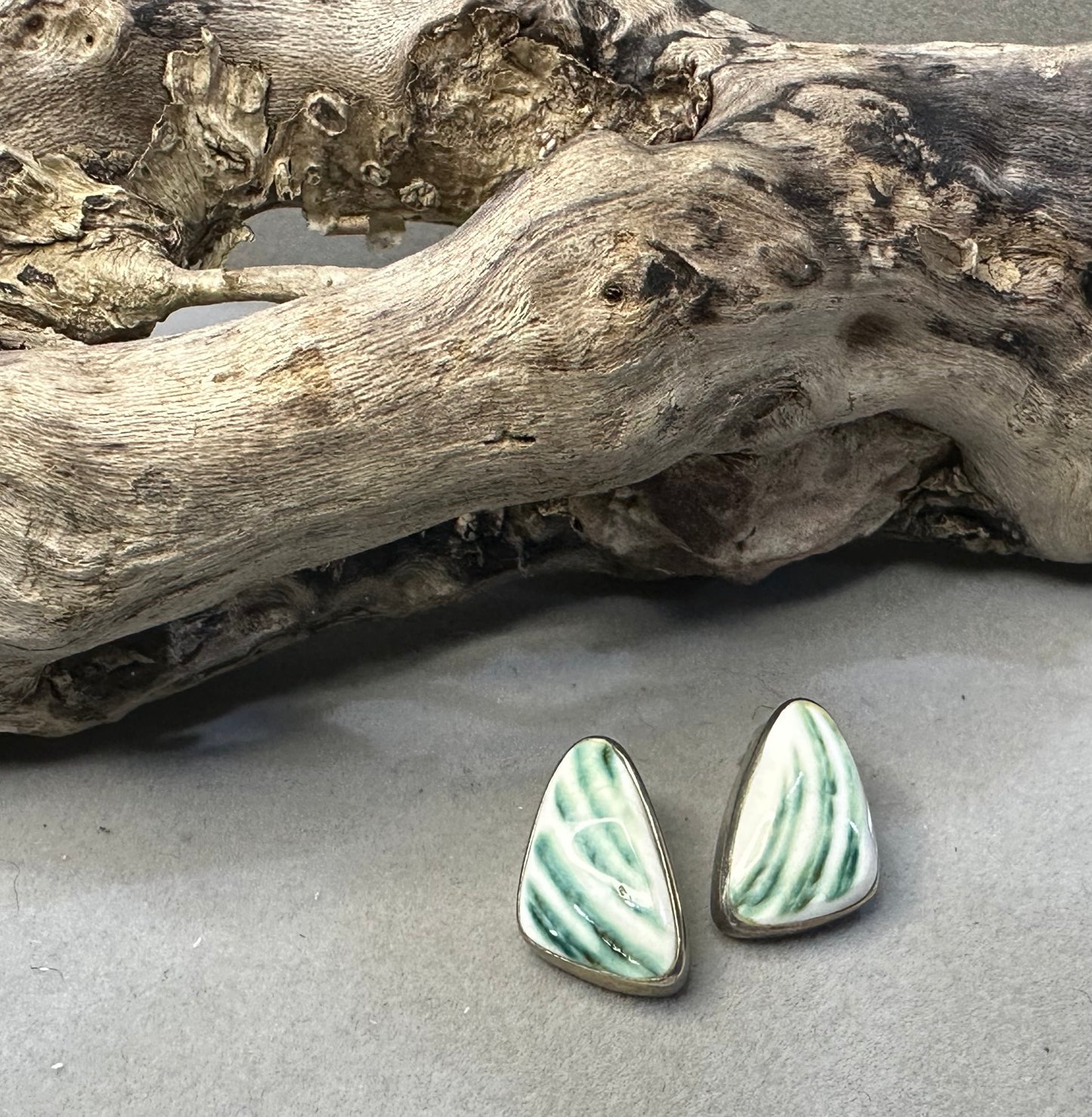 Turbo shell earrings