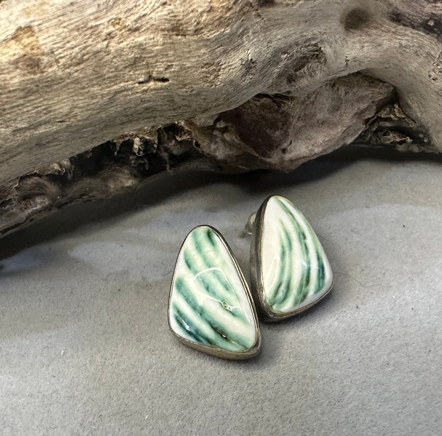 Turbo shell earrings