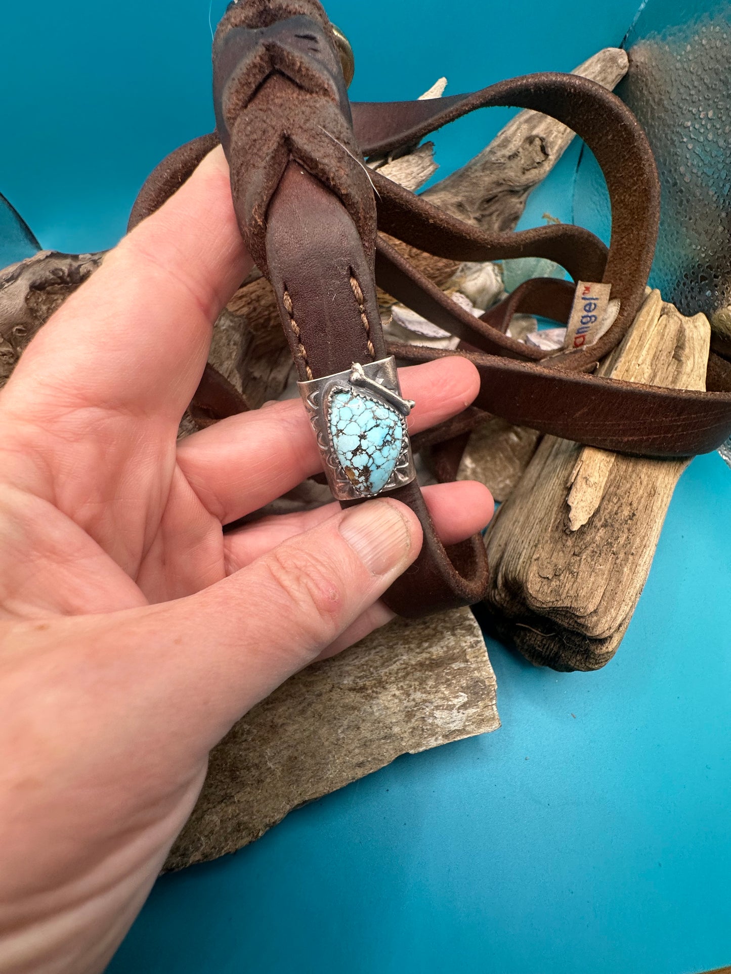 Dog leash/collar clip