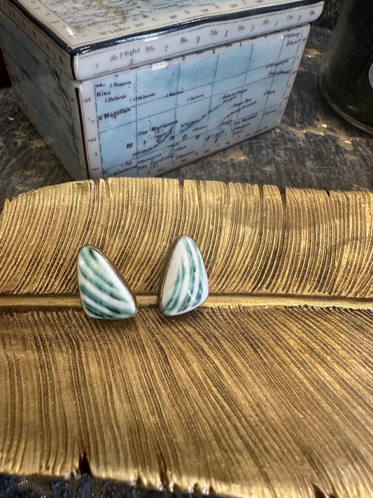 Turbo shell earrings
